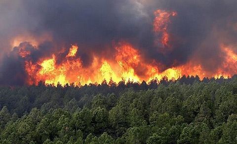 یک هکتار از جنگلهای مرزنآباد دچار حریق شد یک هکتار از جنگلهای مرزنآباد دچار حریق شد