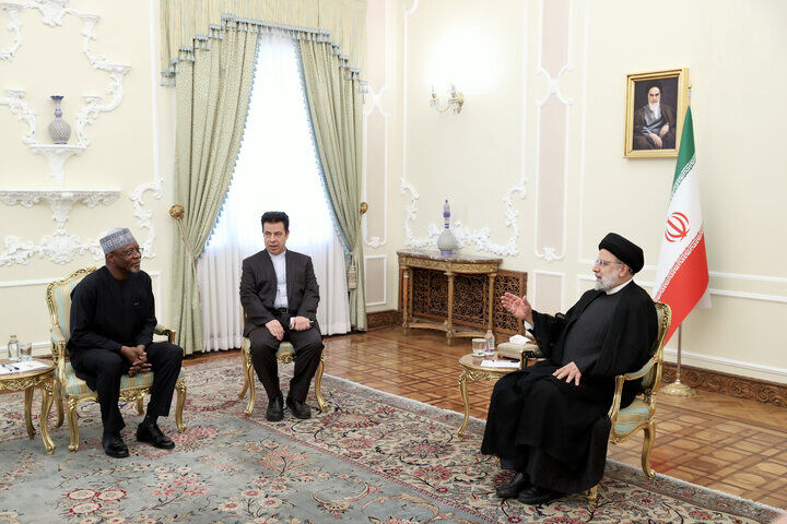 ایران برای همکاری در حوزههای سودمند اقتصادی با نیجر آمادگی دارد ایران برای همکاری در حوزههای سودمند اقتصادی با نیجر آمادگی دارد