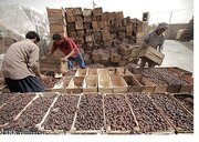 خریداری پنج هزار و ۱۰۰ تن خرما در خرمشهر