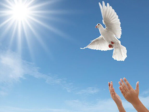 ۳۲۰ زندانی در کرمان آزاد شدند ۳۲۰ زندانی در کرمان آزاد شدند