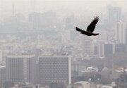 اصفهان در مه، هوا آلوده نیست