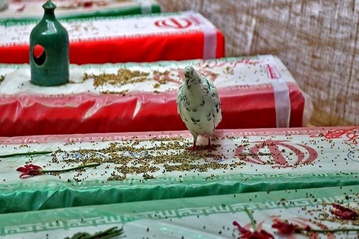 کنگره «شهدای غریب اسارت» سال آینده برگزار میشود کنگره «شهدای غریب اسارت» سال آینده برگزار میشود