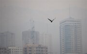 هشدار نسبت افزایش آلودگی هوا در چهار کلانشهر