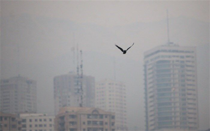 هشدار نسبت افزایش آلودگی هوا در چهار کلانشهر