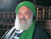 پیام تسلیت وزیر فرهنگ در پی درگذشت آیت الله سیداحمد نجفی