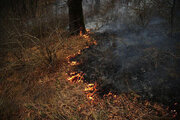 اطفای کامل آتش در ۱۳.۴ هکتار از اراضی جنگلی گیلان