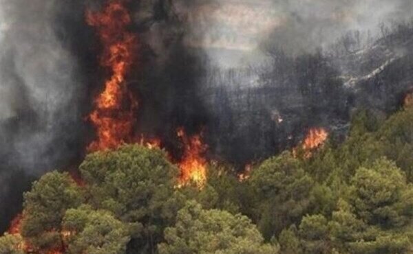 هشدار در مورد آتش سوزی در مناطق جنگلی و تالابی گیلان
