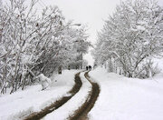 بارش برف پاییزی در مازندران
