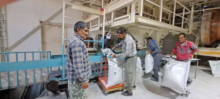 ورود نخستین محموله چغندر به کارخانه قند یاسوج برای تولید ورود نخستین محموله چغندر به کارخانه قند یاسوج برای تولید