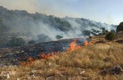 جنگل گردی آتش در مازندران به شوراب کجور رسید