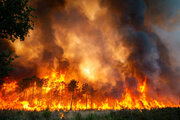 آتش سوزی در جنگل‌های گیلان