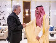 دیدار عنایتی با وزیر کشور عربستان سعودی