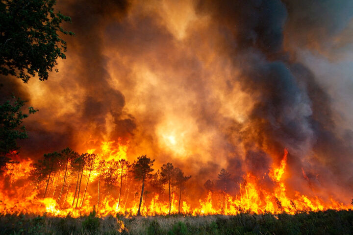 آتش سوزی در جنگل‌های گیلان