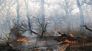 آتش‌سوزی در جنگل‌های غرب مازندران ادامه دارد/ اعزام ۱۵ اکیپ و یک فروند بالگرد به منطقه