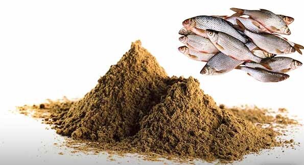 مجوز تولید پودر ماهی در بوشهر صادر شد مجوز تولید پودر ماهی در بوشهر صادر شد