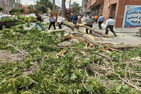 ۹ نفر بر اثر وزش باد شدید در ارومیه مصدوم شدند ۹ نفر بر اثر وزش باد شدید در ارومیه مصدوم شدند