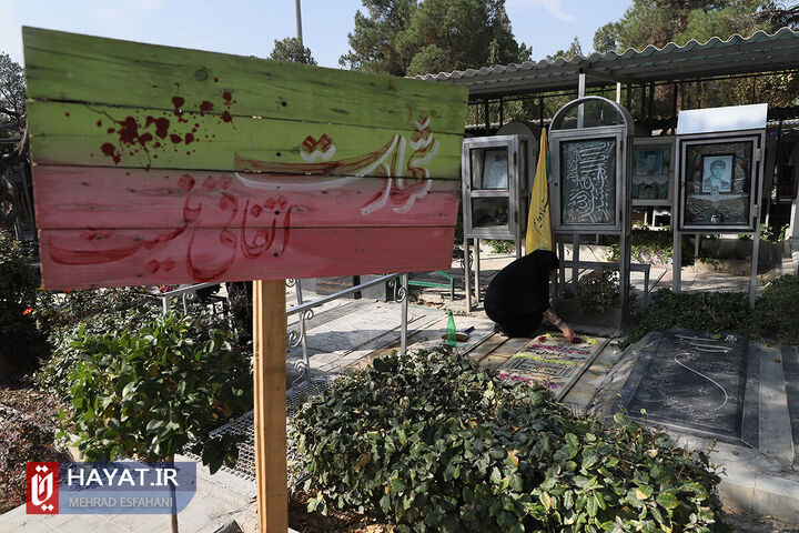 بزرگ شدن برادرم را هر بار که به مرخصی میآمد، میدیدیم + فیلم بزرگ شدن برادرم را هر بار که به مرخصی میآمد، میدیدیم + فیلم