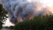 آتش سوزی جنگلی در تنکابن مهار شد