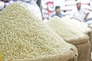 توزیع ۵۰۰۰ تن برنج از طریق تعاونی‌های مرزی استان بوشهر