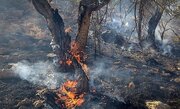 آتش بازهم به جان جنگل‌های آغوزبن رودبار افتاد 