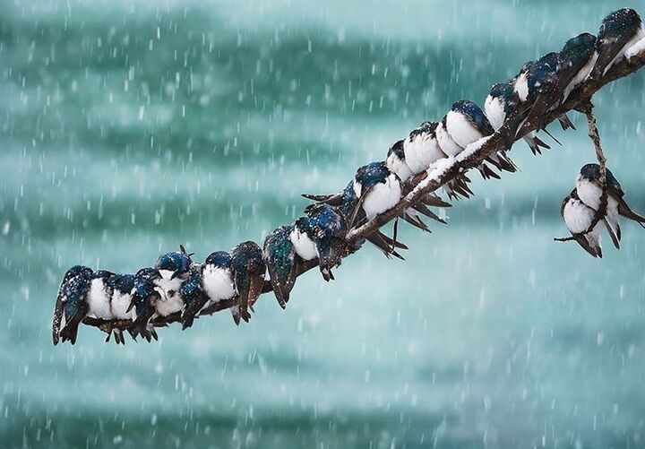 ۲ سامانه بارشی در راه مازندران ۲ سامانه بارشی در راه مازندران