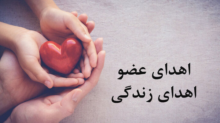 اعضای بدن شهید «حسن بیات» فرمانده نوپوی زنجان اهدا شد اعضای بدن شهید «حسن بیات» فرمانده نوپوی زنجان اهدا شد