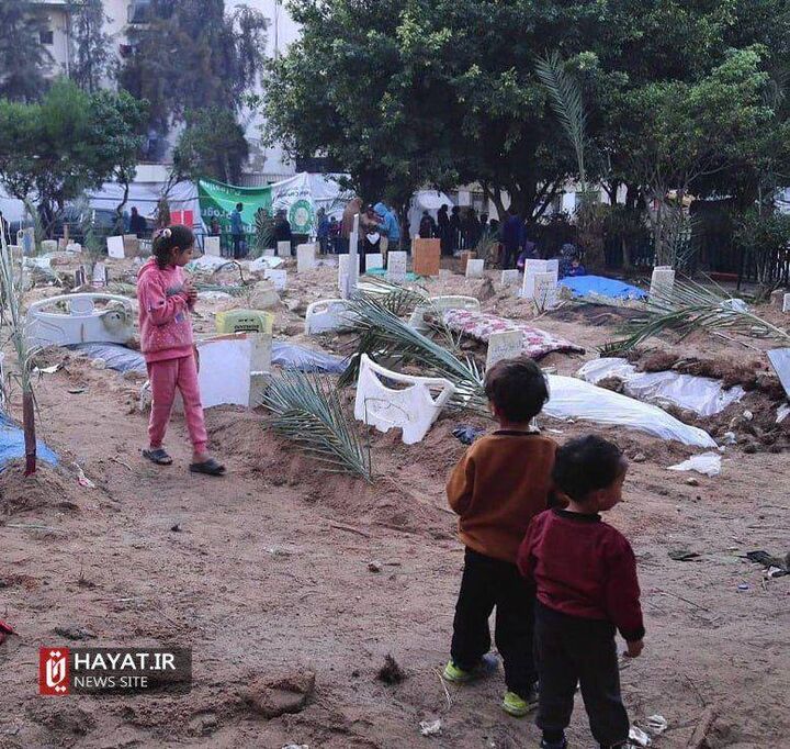 مدیر بیمارستان شفا: بیمارستان به قبرستان تبدیل شده است مدیر بیمارستان شفا: بیمارستان به قبرستان تبدیل شده است