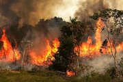 آتش‌سوزی در گیلان بر اثر وزش باد گرم