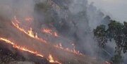 ۱۸ هکتار از اراضی گیلان در آتش سوخت