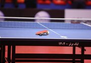 صدرنشینی نوشاد عالمیان و یارانش در لیگ برتر تنیس روی میز