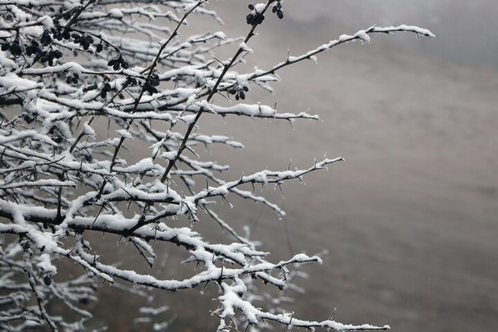 بارش برف و باران در کشور/ افزایش آلودگی هوای کلانشهرها از فردا بارش برف و باران در کشور/ افزایش آلودگی هوای کلانشهرها از فردا