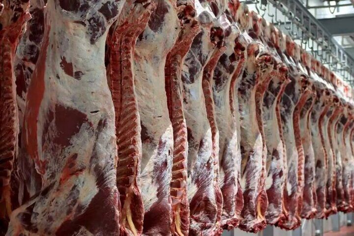 جریمه ۹۳ میلیارد تومانی ۶۸۰۰ واحد عرضه مرغ و گوشت در استان تهران