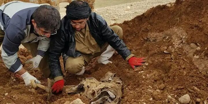 کشف پیکر مطهر ۳ شهید دفاع مقدس در فکه + فیلم کشف پیکر مطهر ۳ شهید دفاع مقدس در فکه + فیلم