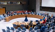 شورای امنیت سازمان ملل قطعنامه نحوه تعامل با دولت موقت افغانستان را تصویب کرد