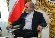 سخنگوی انصارالله یمن با دبیر شورای عالی امنیت ملی دیدار کرد