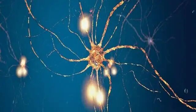 پیروی نورونهای مغز از یک الگوی ریاضی متمایز پیروی نورونهای مغز از یک الگوی ریاضی متمایز