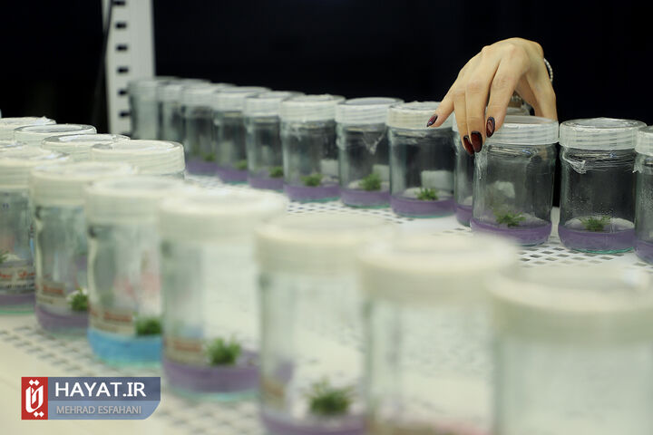 یازدهمین نمایشگاه ایران ساخت