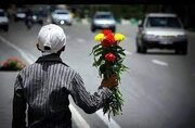دستگیری سرشاخه باند گل‌فروشان تقاطع‌های یزد