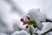 برف و باران در راه استان کرمان