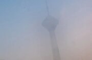 چرا آلودگی هوا دست از سر تهران بر نمی‌دارد؟ / ماوزت سوزی سهیم در تنگی نفس شهروندان