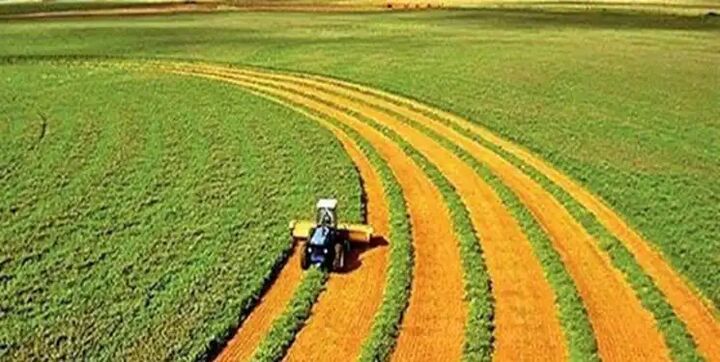 ۱۳ هزار هکتار از محصولات زراعی لرستان بیمه شد ۱۳ هزار هکتار از محصولات زراعی لرستان بیمه شد