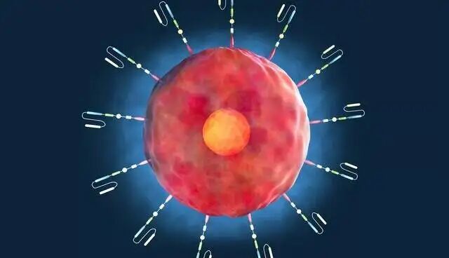 اکسیر جوانی در بدن انسان کشف شد اکسیر جوانی در بدن انسان کشف شد