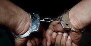 دستگیری ۳ کارمند منابع طبیعی در گیلان