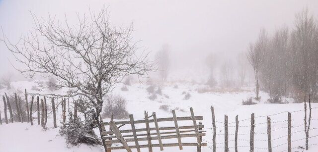 بارش شدید برف و کولاک در ارتفاعات گیلان بارش شدید برف و کولاک در ارتفاعات گیلان