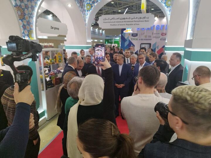 سهم ۴۰ درصدی مواد غذایی در صادرات به روسیه سهم ۴۰ درصدی مواد غذایی در صادرات به روسیه