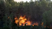 مهار کامل آتش در جنگل‌های مازندران/ ۱۰۰۰ مترمربع از عرصه جنگلی در آتش سوخت