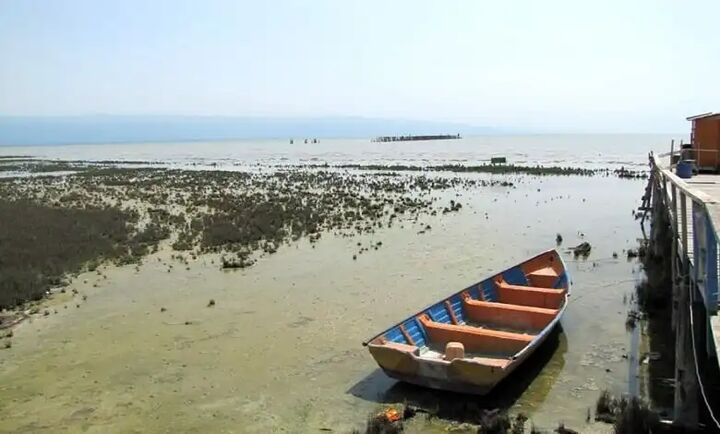 ‌۱.۵ میلیون مترمربع از سواحل غرب مازندران خشک شد