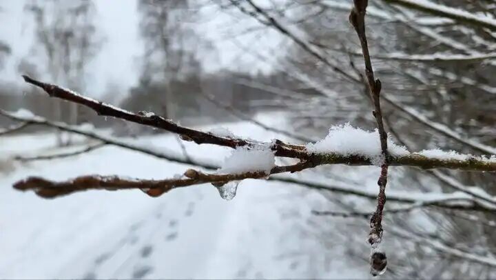 هواشناسی بارش برف پیش بینی کرد/ در این استانها منتظر  بارش باشید هواشناسی بارش برف پیش بینی کرد/ در این استانها منتظر  بارش باشید