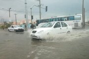 ثبت بیشترین بارش باران در دیلم بوشهر