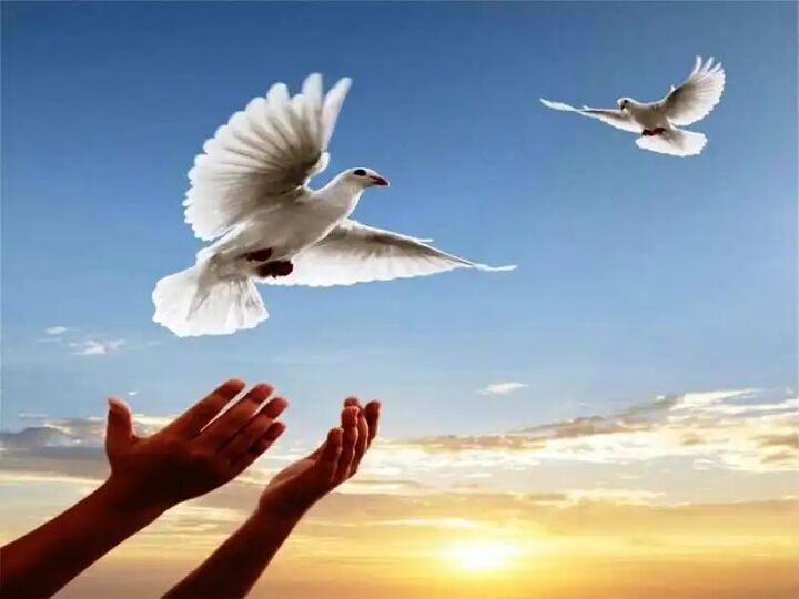 آزادی ۲۴ زندانی جرایم غیرعمد در اعیاد شعبانیه  آزادی ۲۴ زندانی جرایم غیرعمد در اعیاد شعبانیه